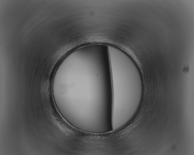 X0000091720439200708241024