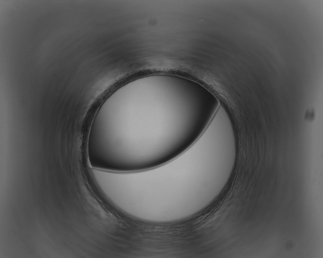 X0000091720440200708241024