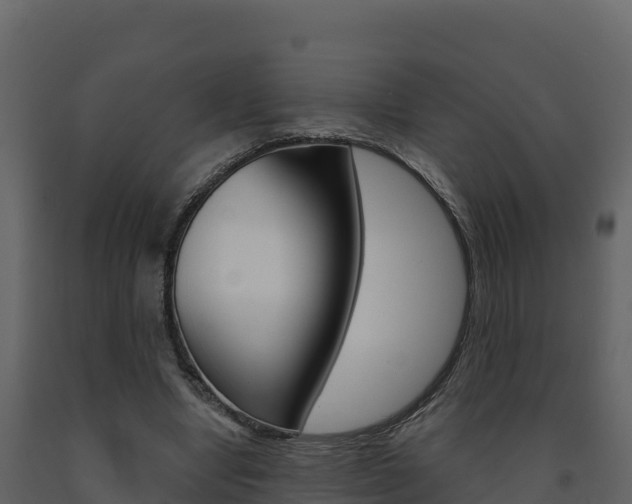 X0000091720442200708241024