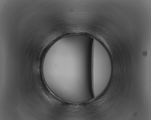 X0000091720443200708241024