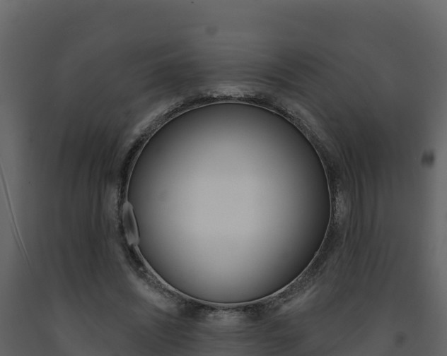 X0000091720444200708241024