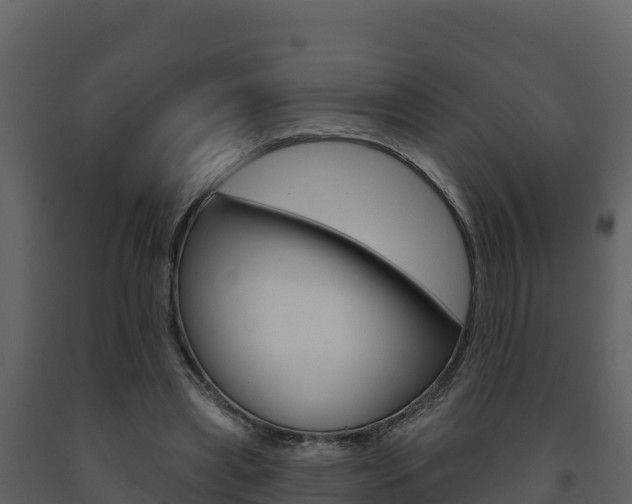 X0000091720445200708241024