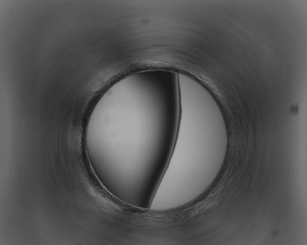 X0000091720446200708241024
