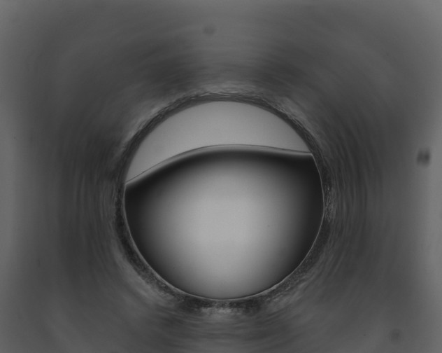 X0000091720448200708241024
