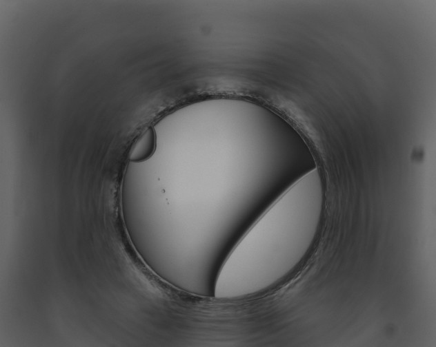 X0000091720449200708241024