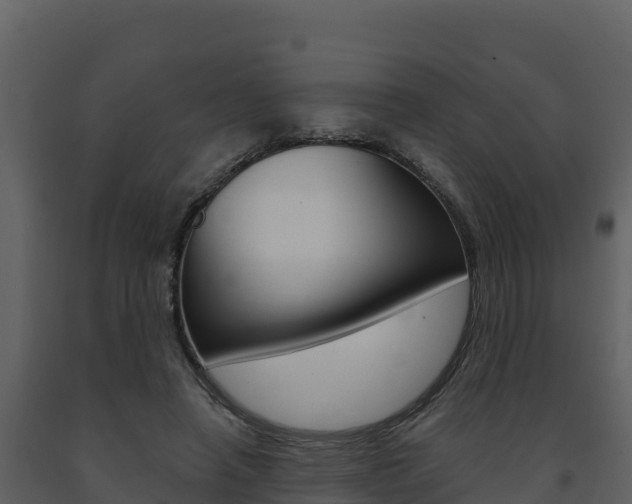 X0000091720450200708241024