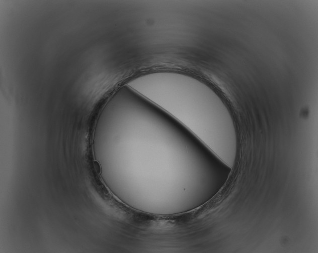 X0000091720451200708241024