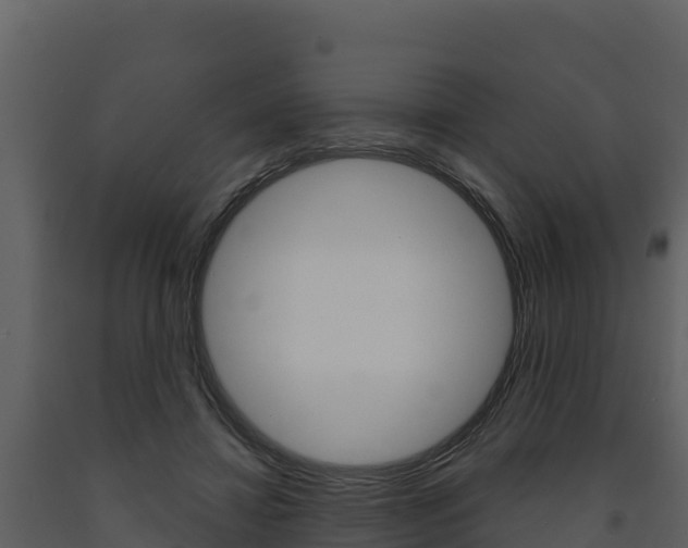 X0000091720452200708241024