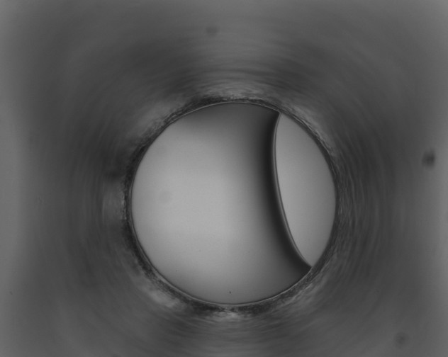 X0000091720453200708241024