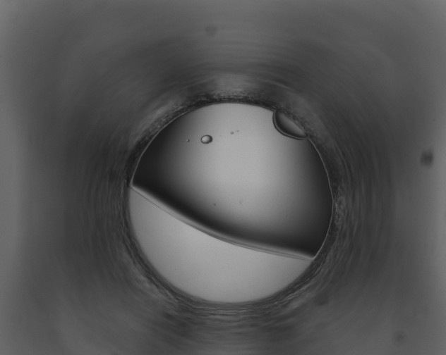 X0000091720454200708241024
