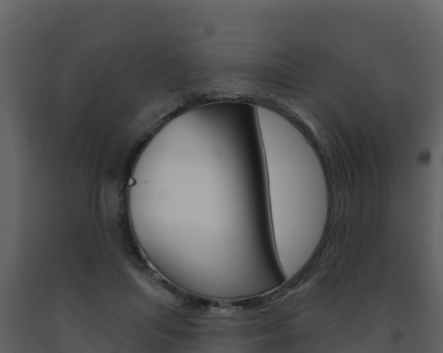 X0000091720455200708241024