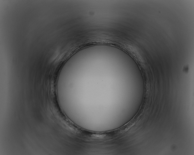 X0000091720457200708241024