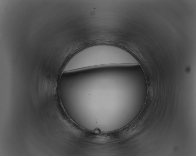 X0000091720458200708241024