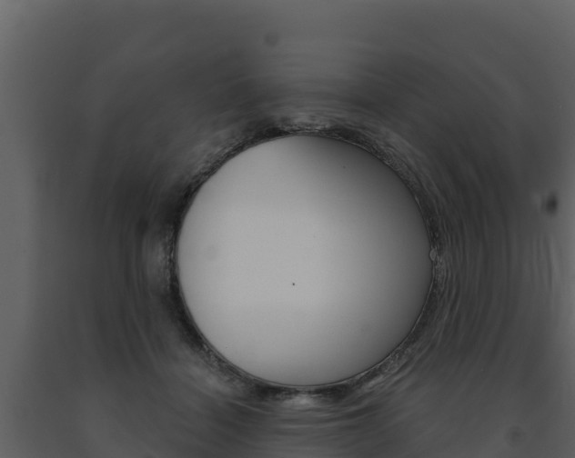X0000091720460200708241024