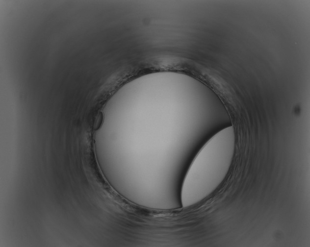 X0000091720461200708241024