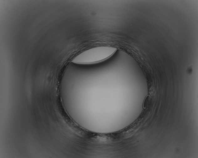X0000091720464200708241024