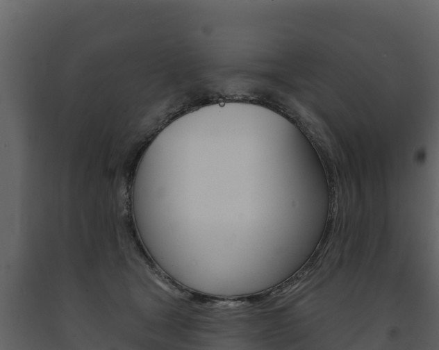 X0000091720465200708241024
