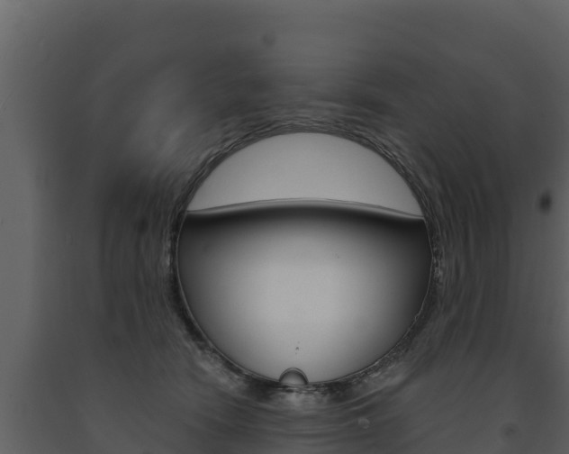 X0000091720466200708241024
