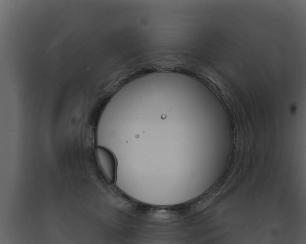X0000091720467200708241024