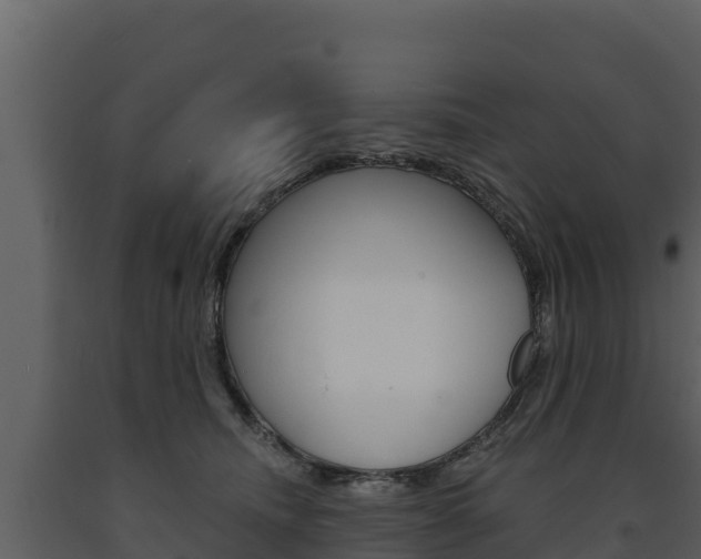 X0000091720468200708241024