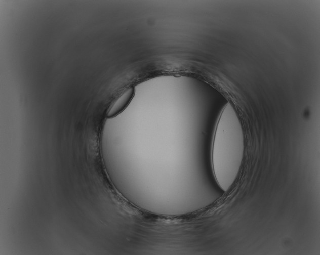 X0000091720469200708241024