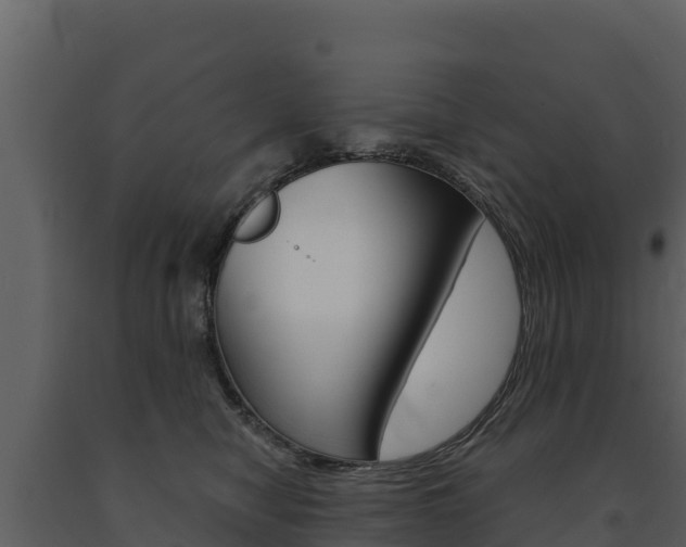 X0000091720470200708241024