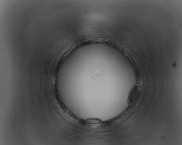 X0000091720472200708241024
