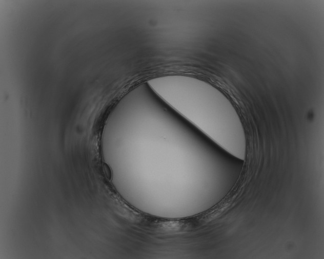 X0000091720473200708241024