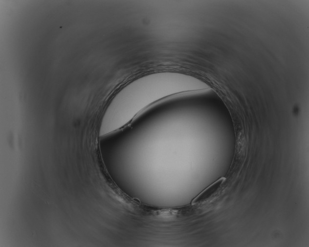 X0000091720474200708241024