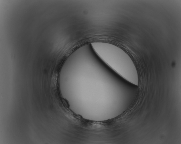 X0000091720475200708241024