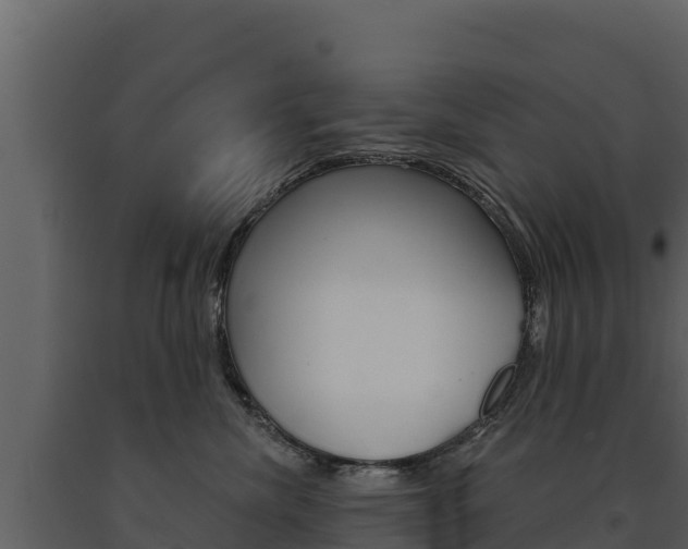 X0000091720476200708241024