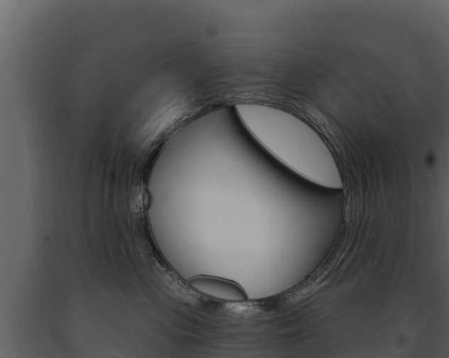 X0000091720477200708241024