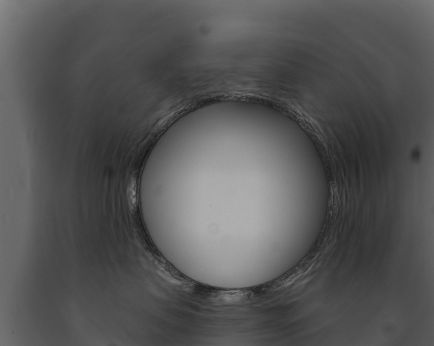 X0000091720479200708241024