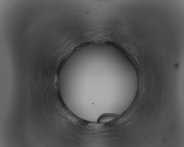 X0000091720480200708241024