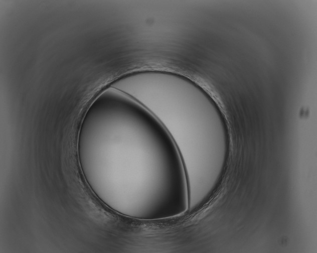 X0000091720481200708241024