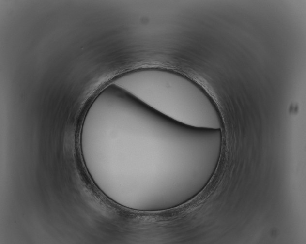 X0000091720482200708241024