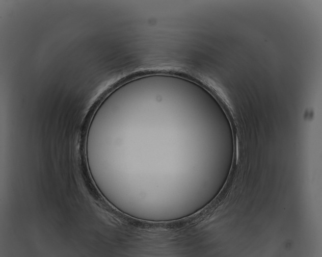 X0000091720483200708241024