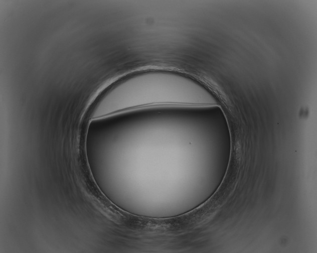 X0000091720484200708241024
