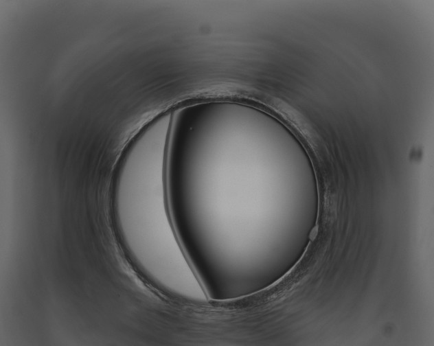 X0000091720485200708241024