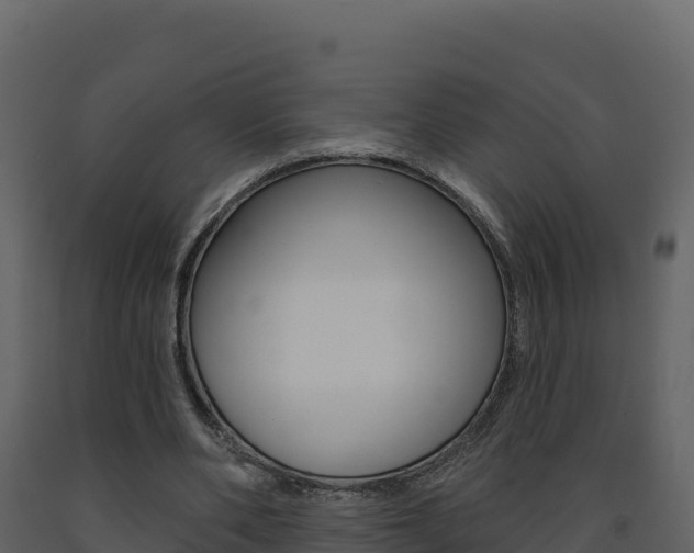X0000091720486200708241024