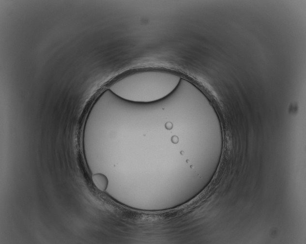X0000091720487200708241024