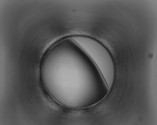 X0000091720488200708241023