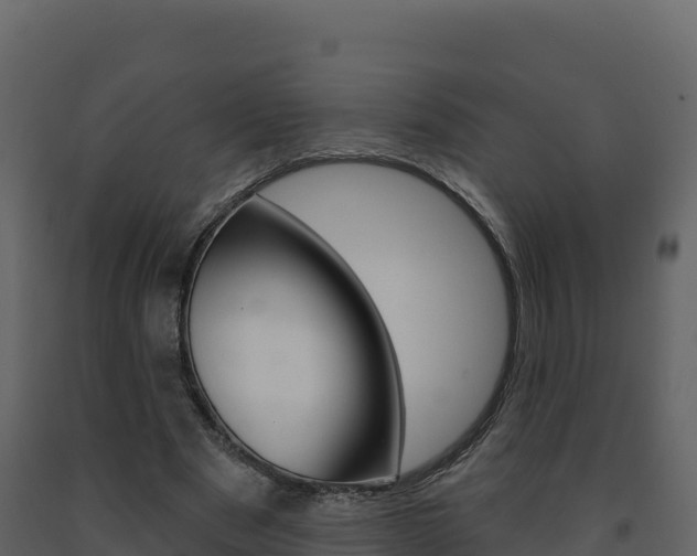 X0000091720489200708241023