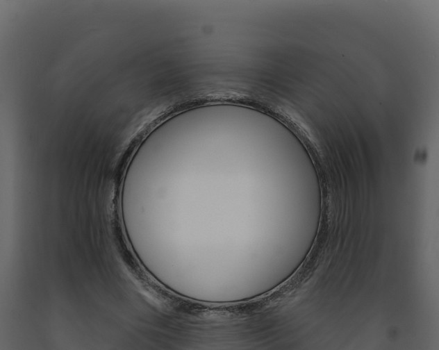 X0000091720490200708241023