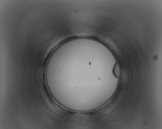 X0000091720491200708241023