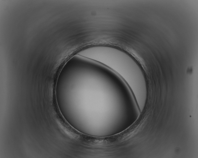 X0000091720493200708241023