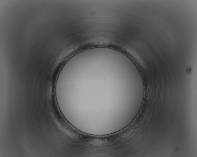 X0000091720494200708241023