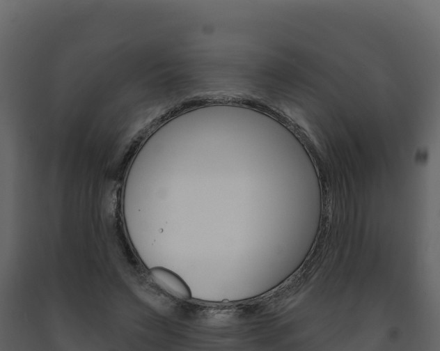 X0000091720495200708241023