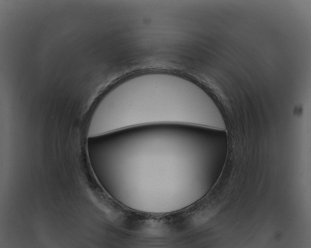 X0000091720496200708241023
