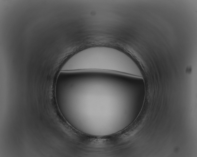 X0000091720497200708241023